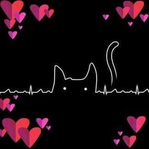 Meet your Posher, Melody